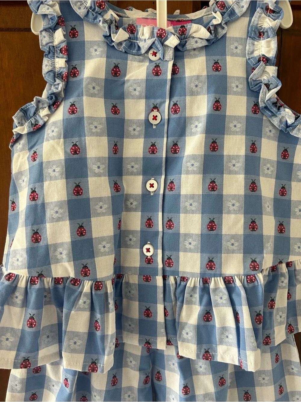NWT Girls Ladybug Outfit Set - size 5